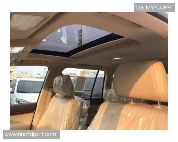 南京网球队以69分领跑洲际杯积分榜展现强劲实力